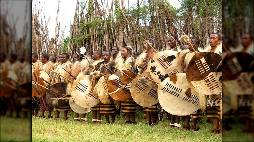 Swazi warriors at incwala