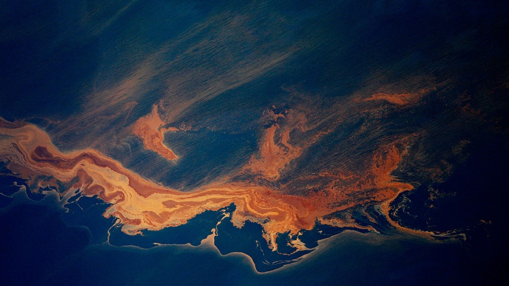 MAY 6: Oil from the Deepwater Horizon wellhead collects on top of the water off the coast of Louisiana on May 6, 2010. 