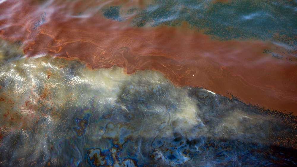 APRIL 27: Pools of crude oil float on the surface of Gulf of Mexico waters 