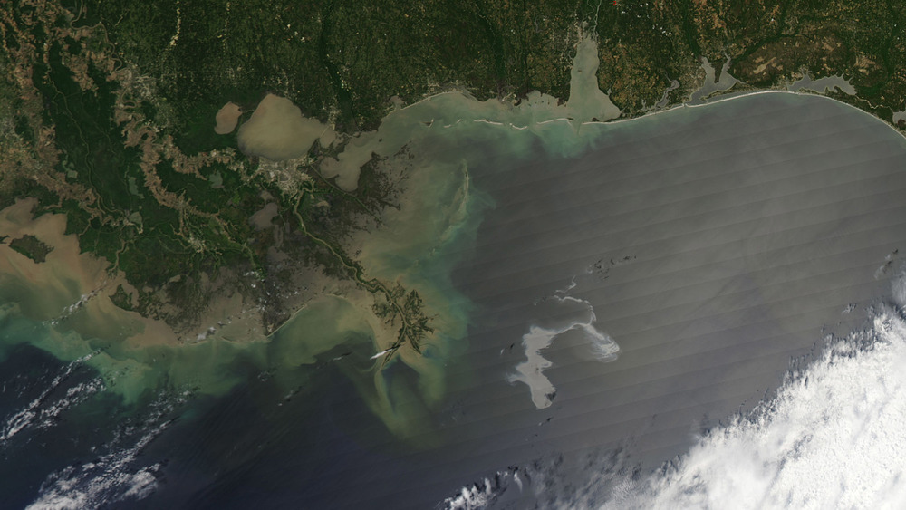 Oil slick seen in the Gulf of Mexico
