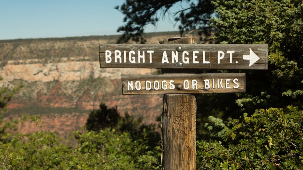 bright angel grand canyon