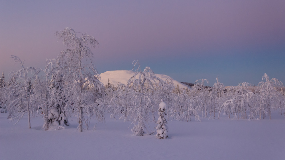 Dyatlov Pass