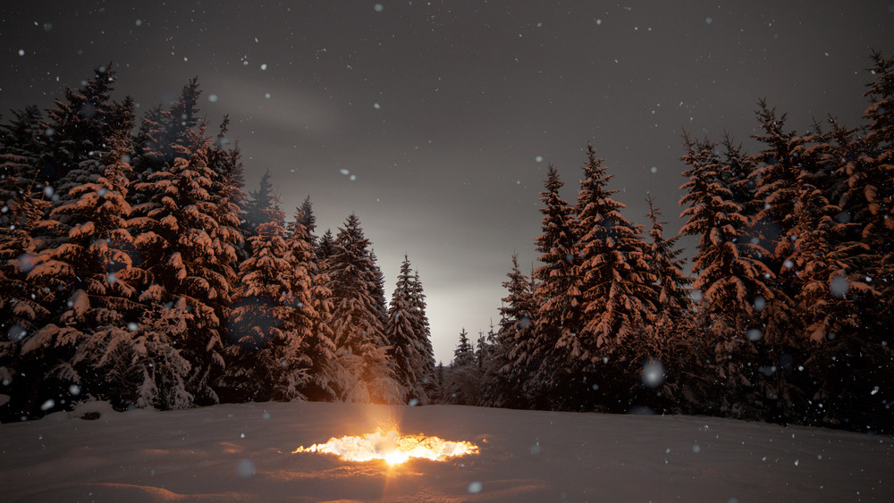 Campfire in the snow