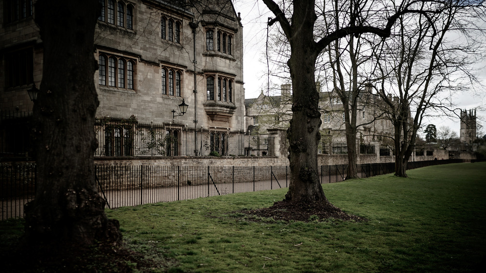 The Meadows of Christ Church at the University of Oxford, 2020