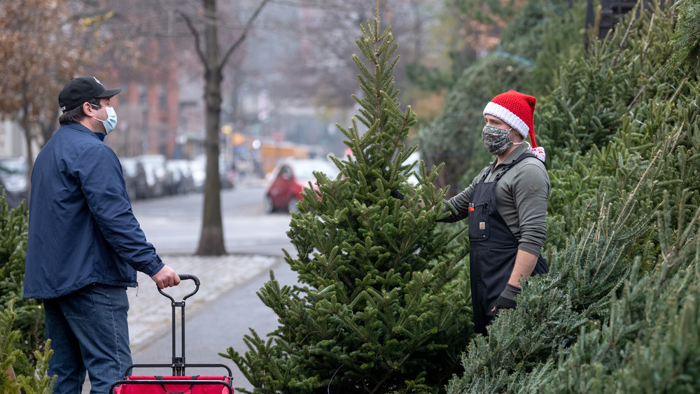 Christmas tree vendor