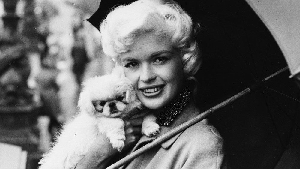 jayne mansfield with dog