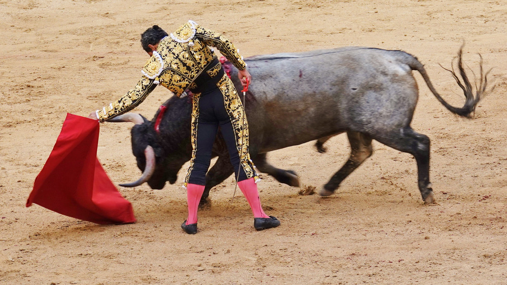 Bullfighter in action