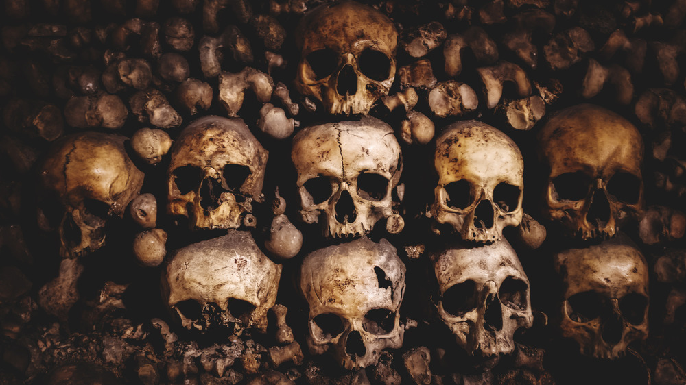 Paris Catacombs skulls