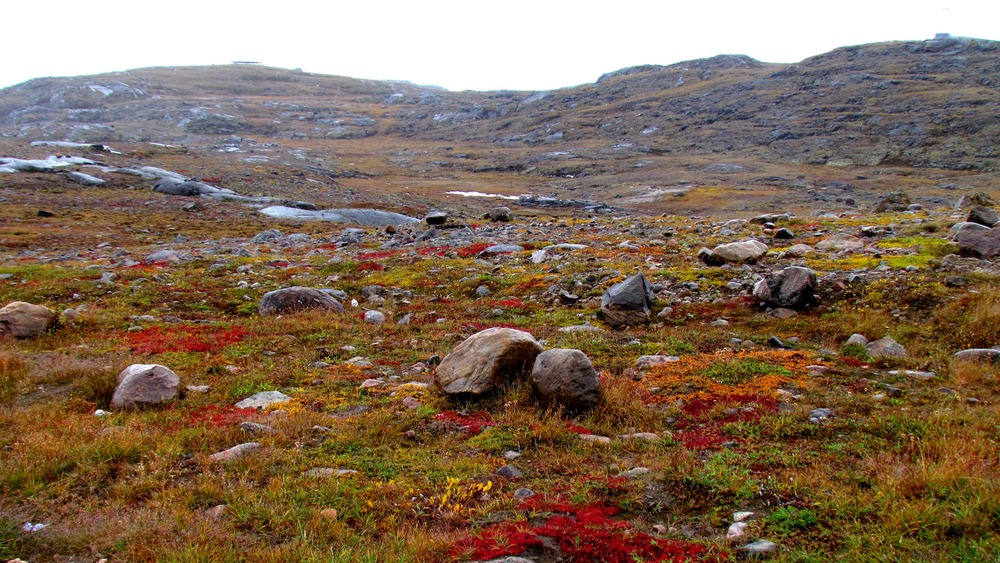 landscape of Tundra in Nunavut, Canada