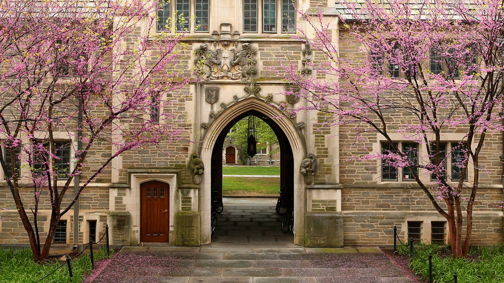 Princeton school