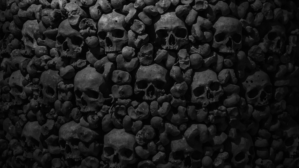 Stacks of human skulls