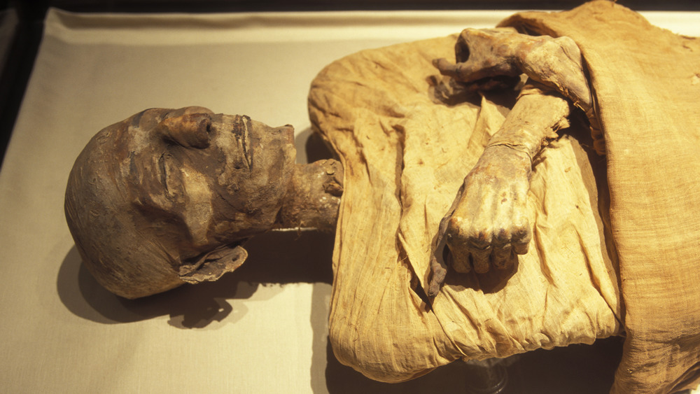 egyptian mummy laying 