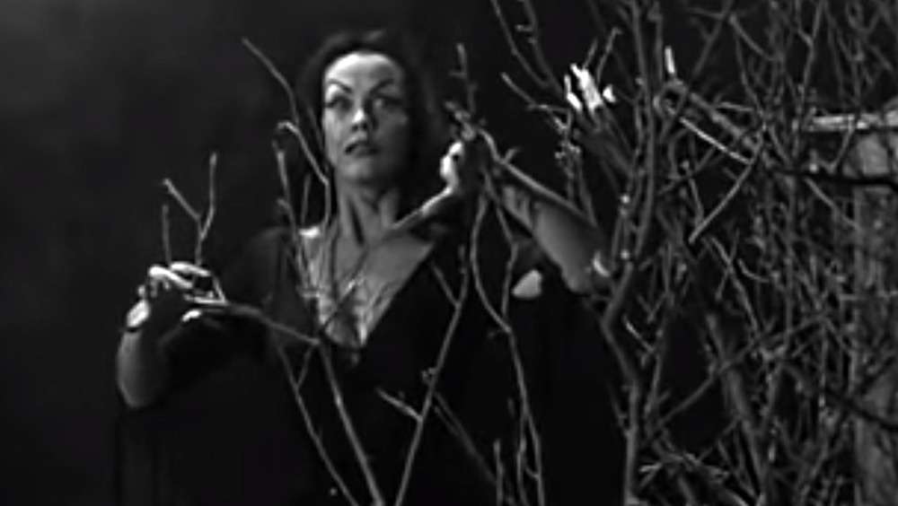 Vampira lurks in Plan Nine Form Outer Space