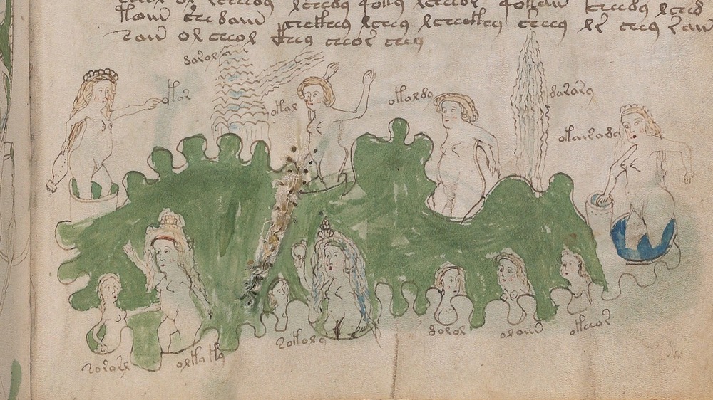 Voynich Manuscript 82r nymphs