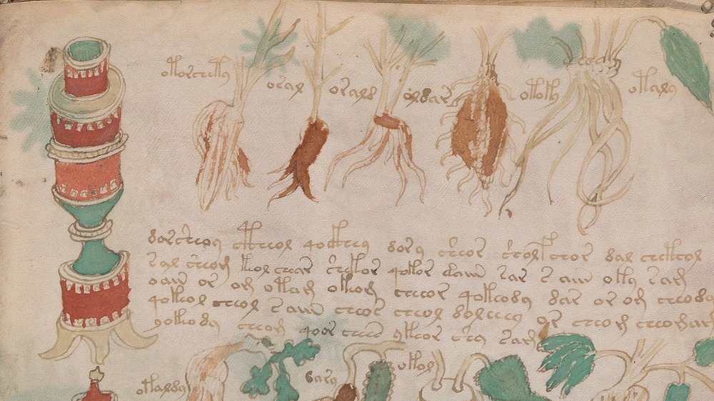 voynich manuscript 88r pharmacological