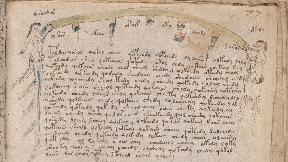 Voynich Manuscript 77r