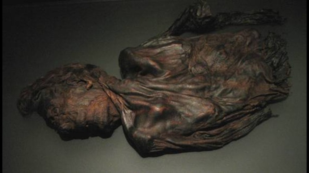 clonycavan man bog bodies