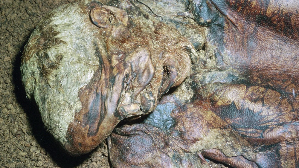 lindow man bog body