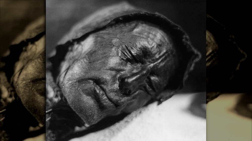 tollund man bog body