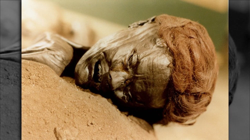 Grauballe Man bog body