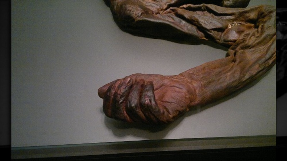 old croghan man hand