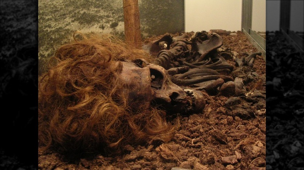 Bocksten Man bog body