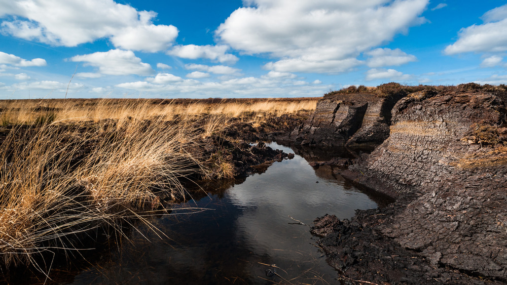 ireland peat bog