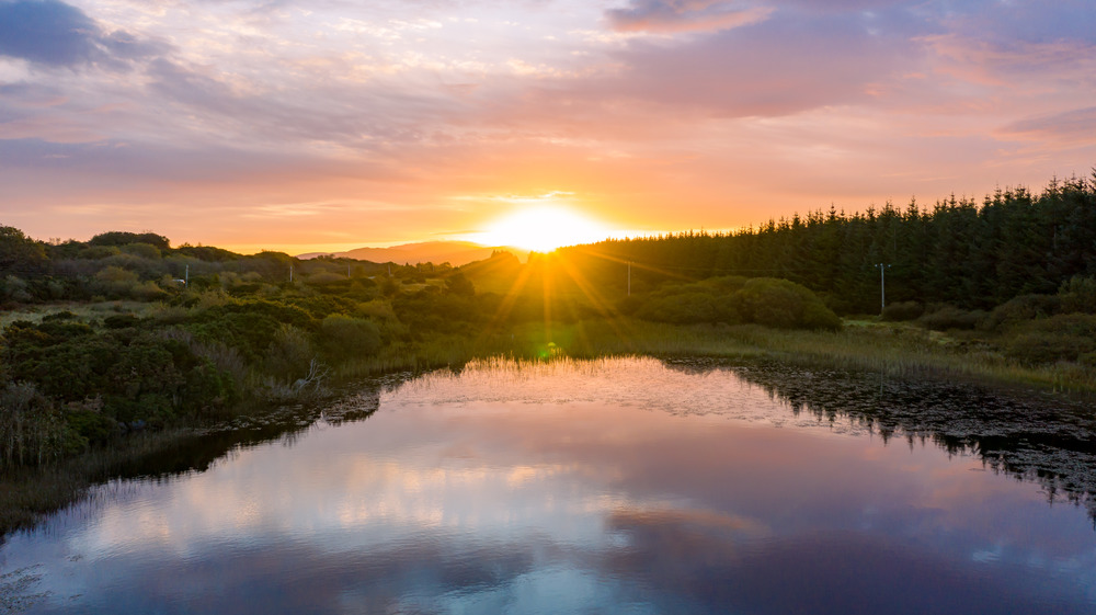 ireland donegal bog