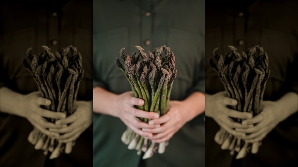 Fresh asparagus in a woman's hands