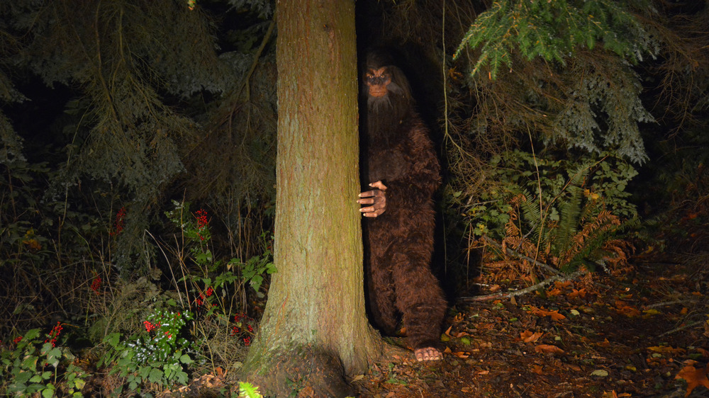 Bigfoot peeking out