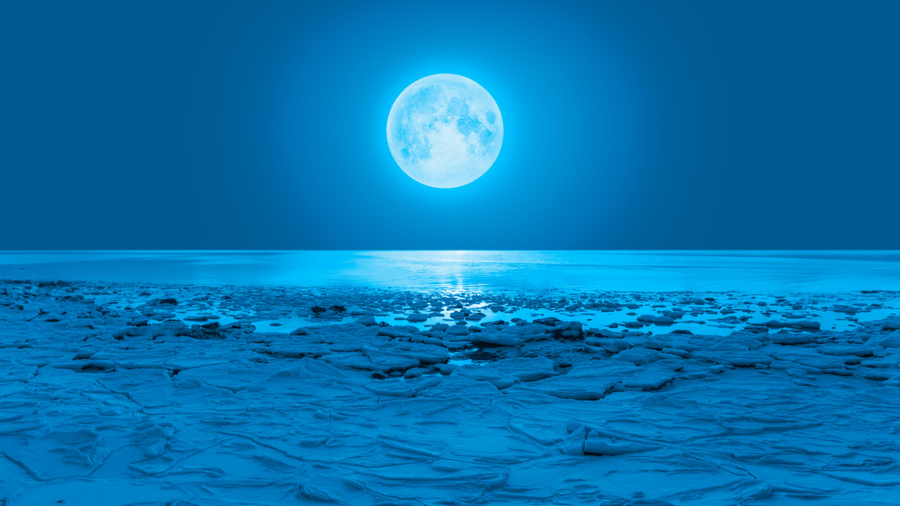 frozen arctic night, full moon