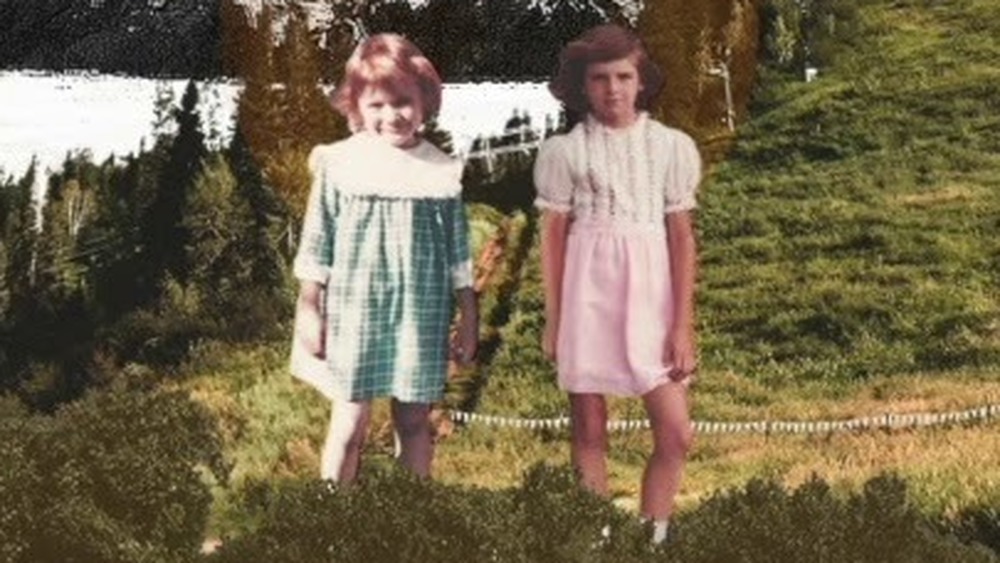 Indigo Girls Look Long album cover