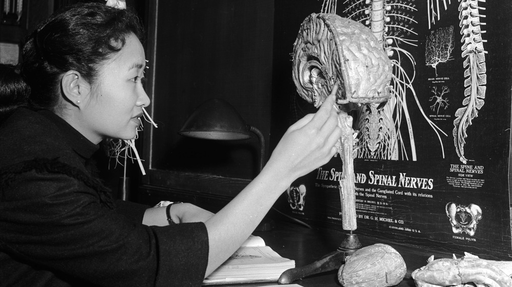 A woman studying the brain