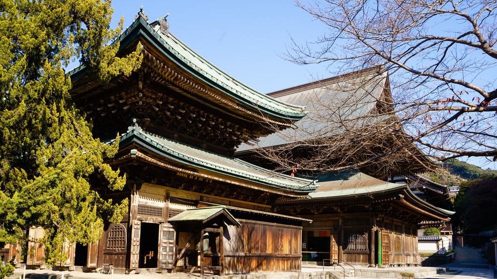 The Nanchan Temple side view with trees