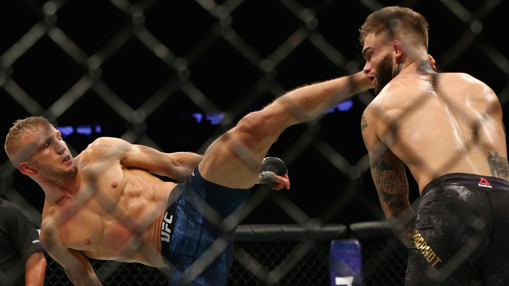 TJ Dillashaw kicks Cody Garbrandt