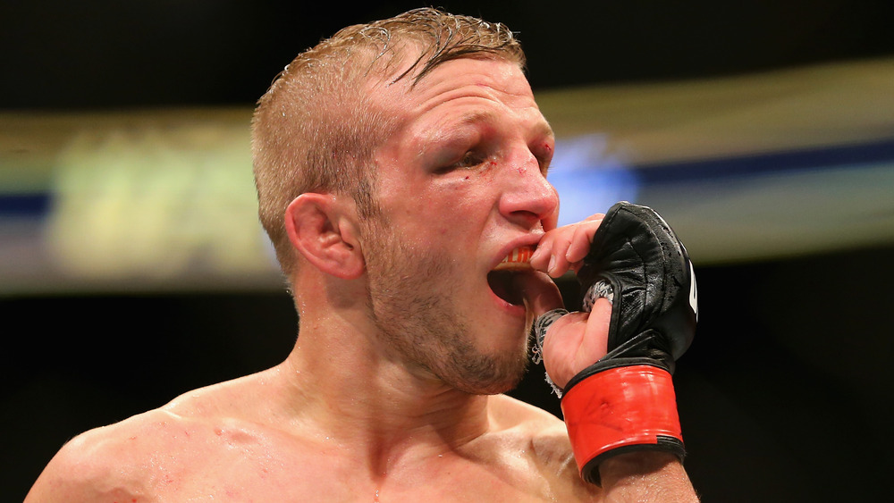 TJ Dillashaw in 2016