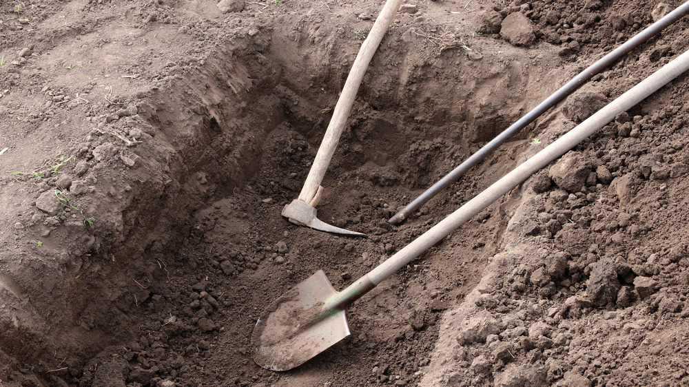 Shallow grave being dug