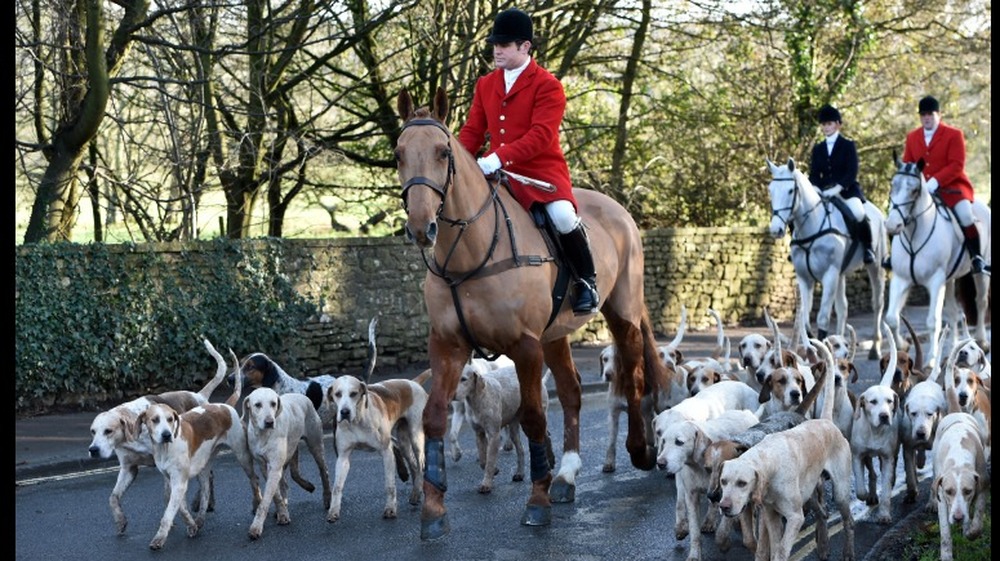 The Avon Vale Hunt with riders on horses