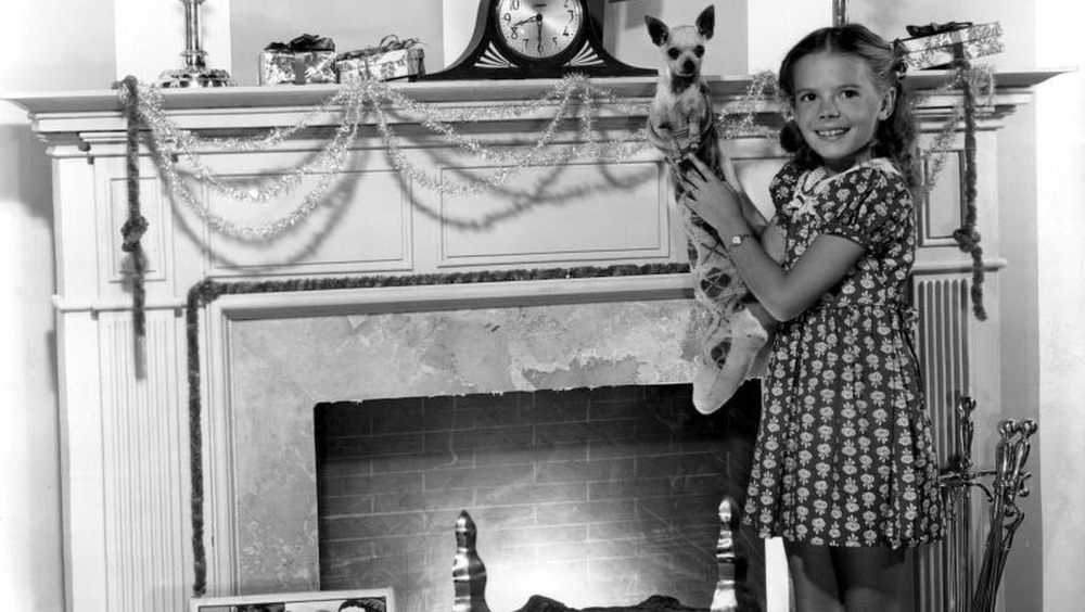 Natalie Wood in 1947 standing in front of a fireplace with a chihuahua