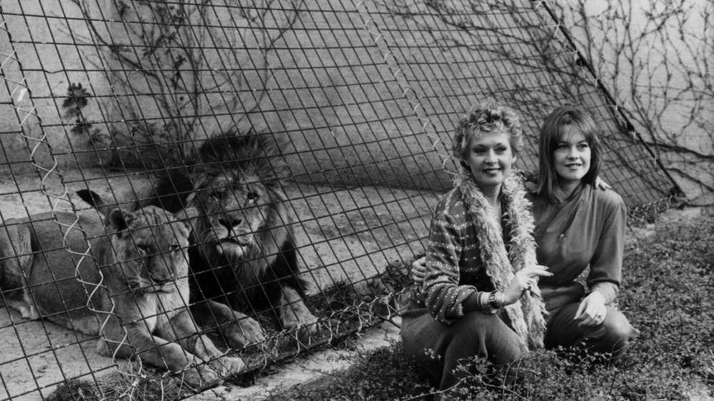 Tippi Hedren and Melanie Griffith posing with lions