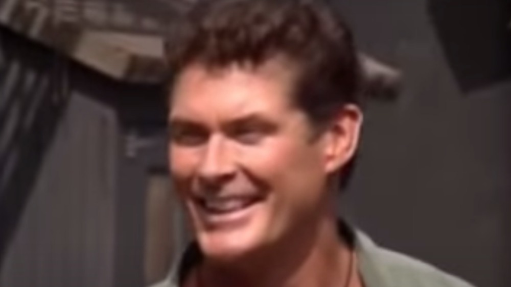 David Hasslehoff smiling 