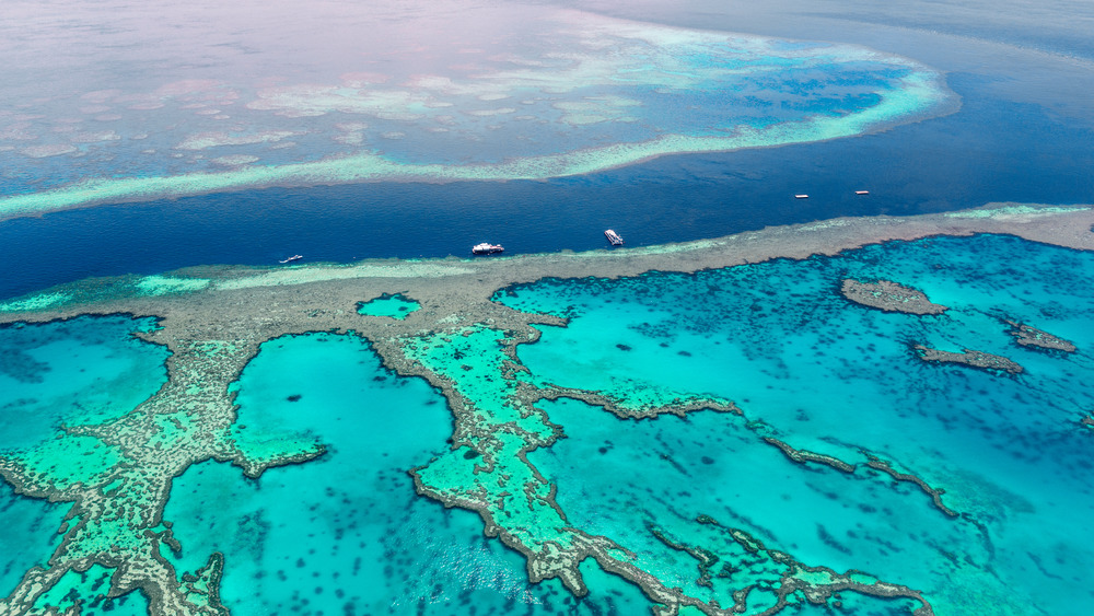 Great Barrier Reef, Seven Natural Wonders