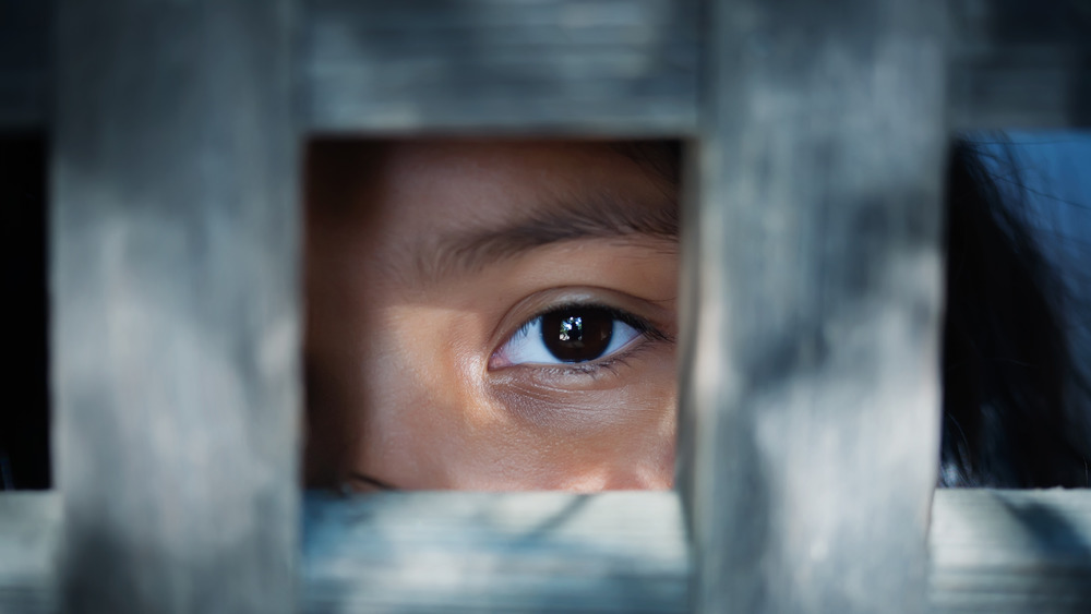 A child's eye seen through a fence
