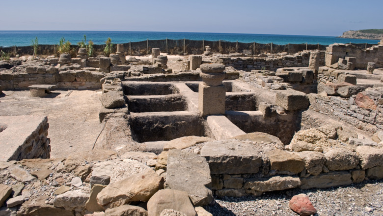 excavated ruins of Garum facility