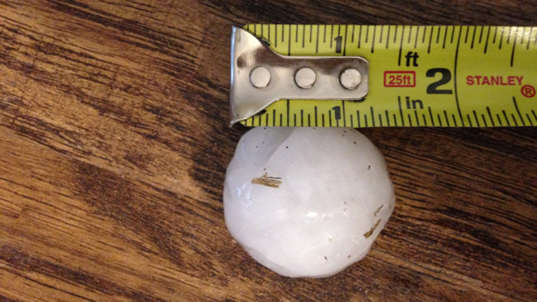 Gorilla hail that measures up