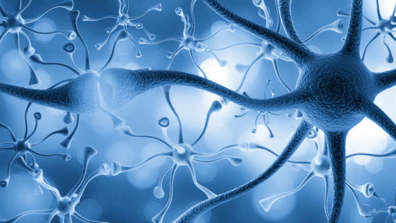 blue neurons connected