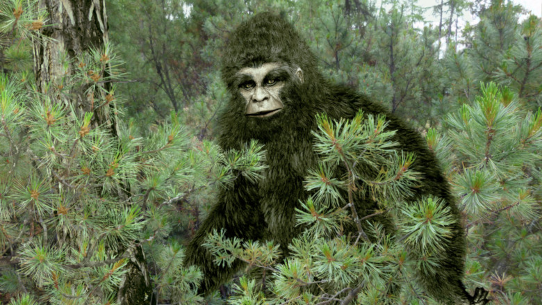 sasquatch in a forest