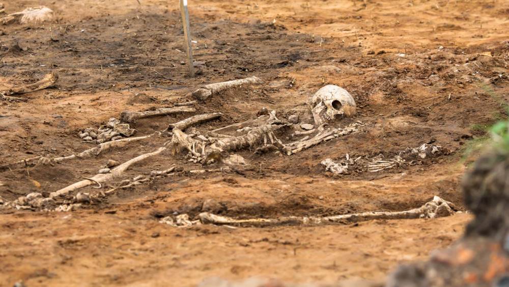 skeletal remains laying in dirt