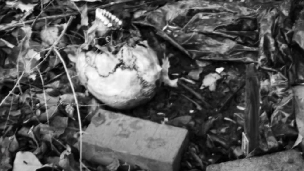 skull surrounded by dead leaves 