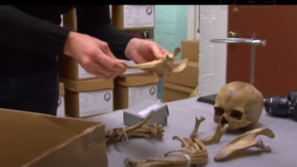 Bones being studied in a lab